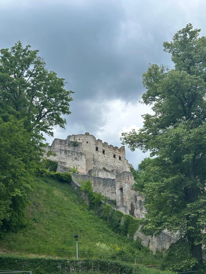 Ferienwohnung Zur Roni Treuchtlingen Exterior foto